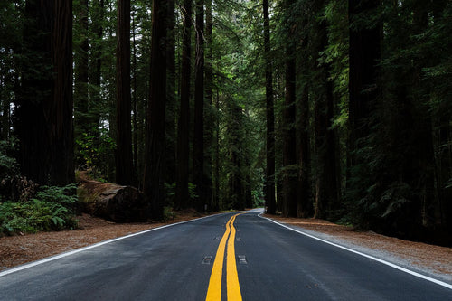 Forest Road